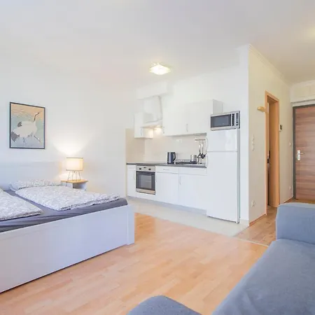 Apartment Corvin Modern Studio With Ac, Parking *